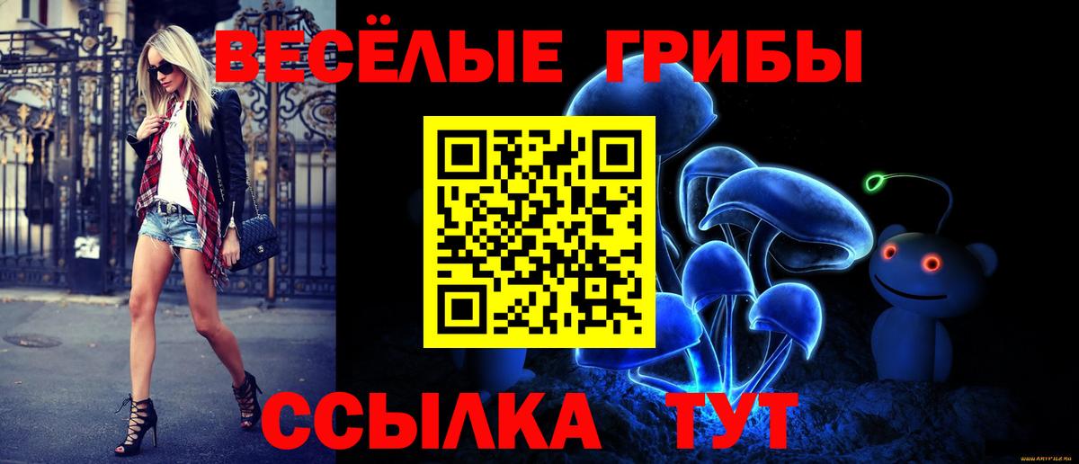 даркнет сайт  Вход с VPN  Новоуральск  Псилоцибиновые грибы Psilocybine cubensis  Галлюциногенные грибы ЛСД 